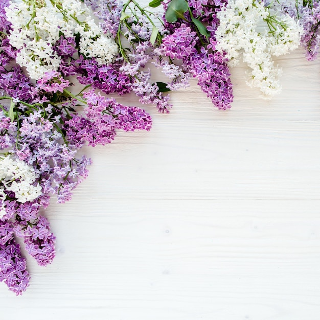 Beautiful purple lilac on wooden white background