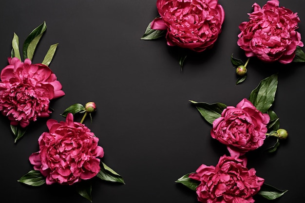 Beautiful purple peonies bouquet on black background soft focus Dark Spring or summer floral background Festive flowers concept