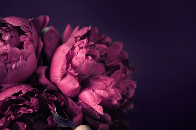 Photo beautiful purple peonies bouquet closeup soft focus dark spring or summer floral background festive flowers concept