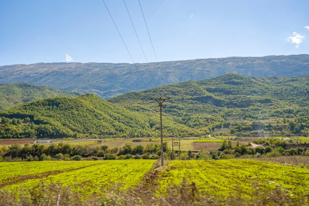 美しく静かな自然の風景。