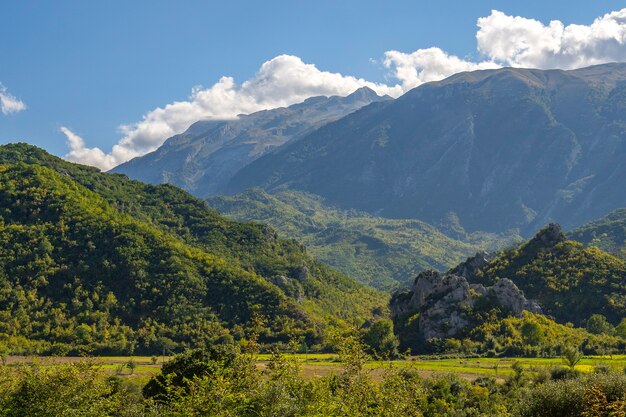 美しく静かな自然の風景。