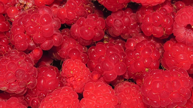 Beautiful raspberries Texture of fresh ripe raspberries