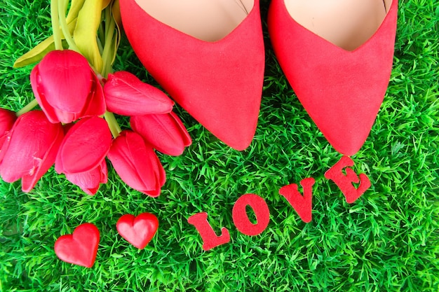 Beautiful red female shoes on green grass background