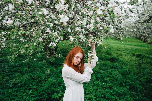 Bella ragazza dai capelli rossi in un abito bianco tra alberi di mele in fiore nel giardino.