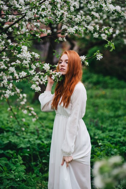 Bella ragazza dai capelli rossi in un abito bianco tra alberi di mele in fiore nel giardino.