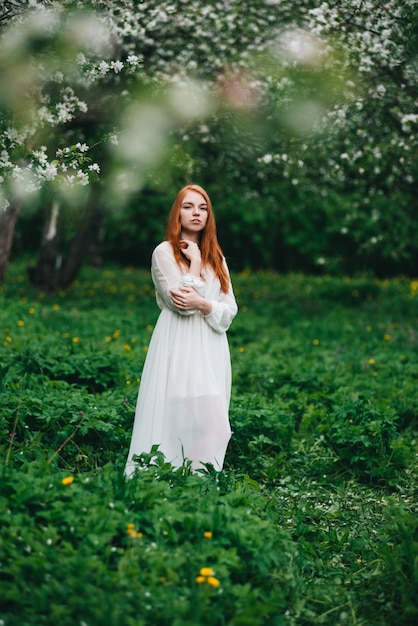 Beautiful red-haired girl in a white dress among blossoming apple trees in the garden