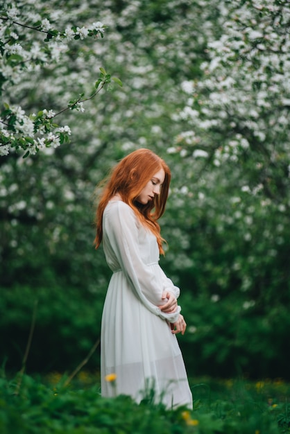 Beautiful red-haired girl in a white dress among blossoming apple trees in the garden 