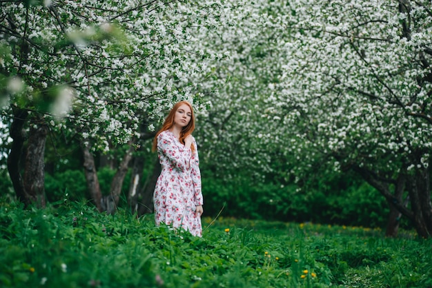 Красивая рыжеволосая девушка в белом платье среди цветущих яблонь в саду