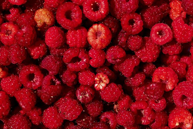 Beautiful red juicy raspberry Texture