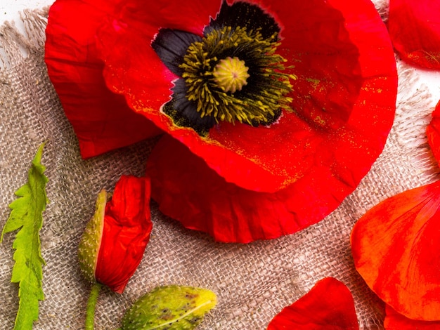 Photo beautiful red poppies on sackcloth selective focus wild flower