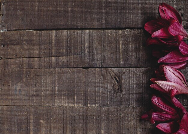 Photo beautiful red purple lily flower on rustic wooden background flat lay gorgeous bloom minimalistic on rustic wood backdrop space for text greeting card celebration concept spring image