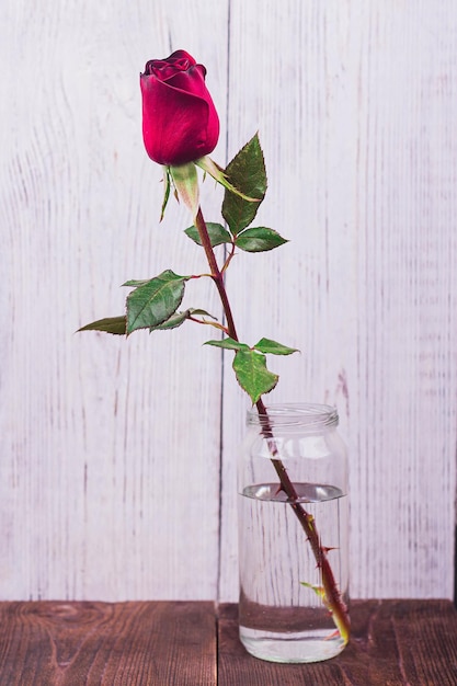 Beautiful red rose flower on wooden background