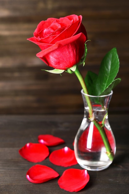 ダークブラウンの背景のテーブルに花瓶の美しい赤いバラ