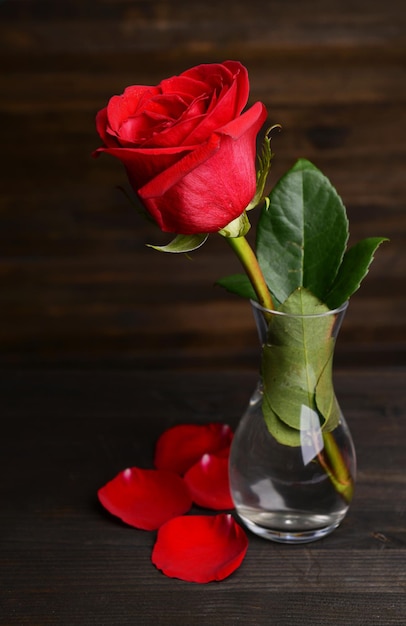 Красивая красная роза в вазе на столе на темно-коричневом фоне