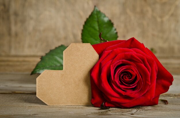 Beautiful red rose on wooden planks