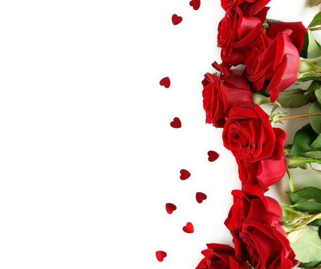 Belle rose rosse, isolate su bianco