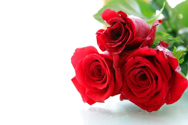 Bellissime rose rosse su sfondo bianco con spazio per il messaggio fiore di rosa rossa di san valentino