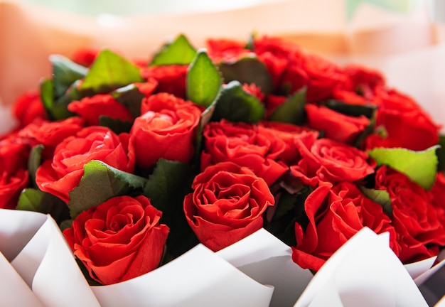 Beautiful red roses