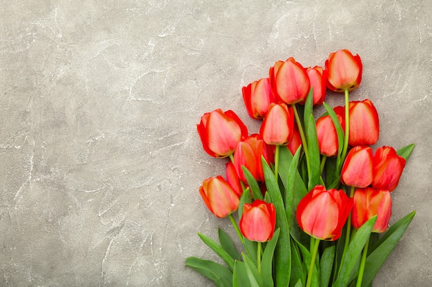 Beautiful red tulips on grey concrete with copy space