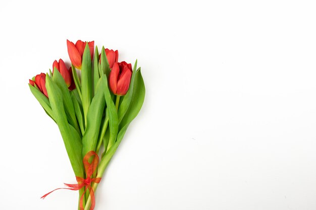 Beautiful red tulips lie on a white background