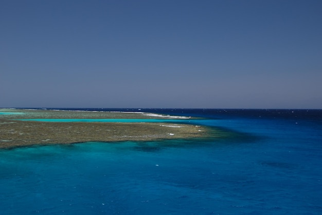 Beautiful reef at sea with horizon in egypt