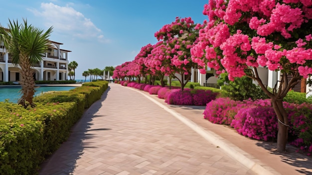 Photo beautiful resort promenade with blooming colorful olm