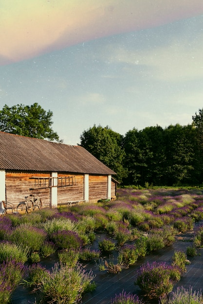 Photo beautiful retro nature with old barn