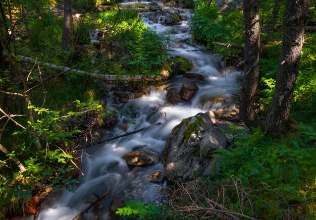 Beautiful river falling slowly down rive letting the sunlight in between the leaves