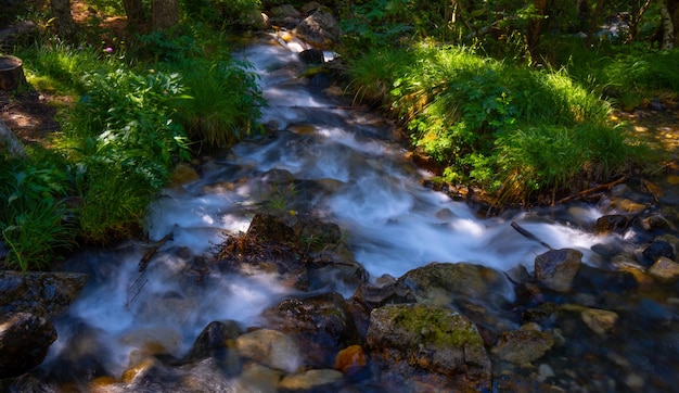 Beautiful river falling slowly down river in the Aragonese Pyrenees Sunlight shines through the leaves