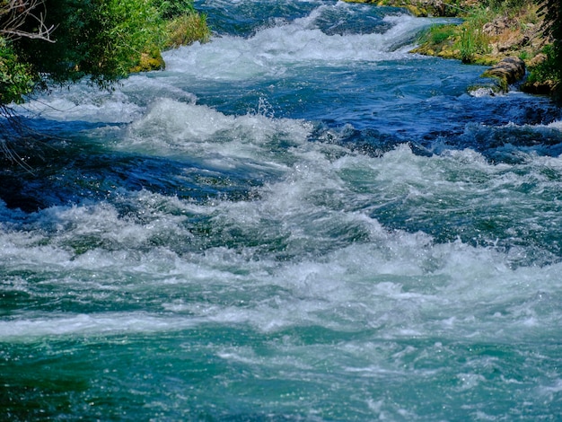 Beautiful river in the forest