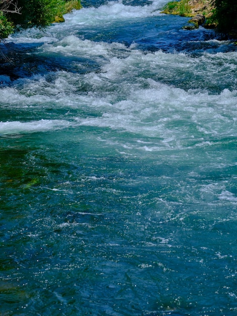 Beautiful river in the forest