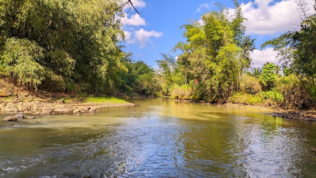 beautiful river in Indonesia