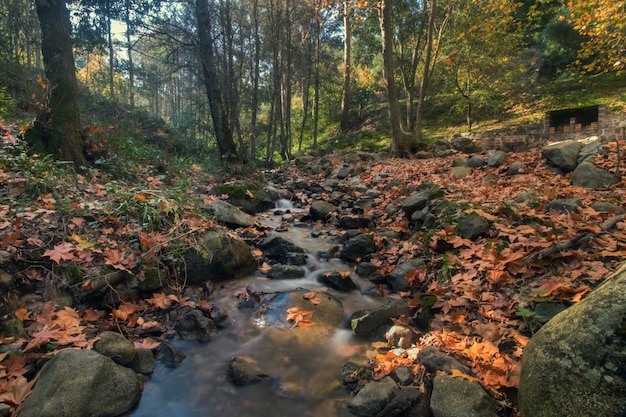 Beautiful river mountain region of Monchique, Portugal