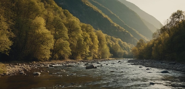 Beautiful river scenery with trees on the sides