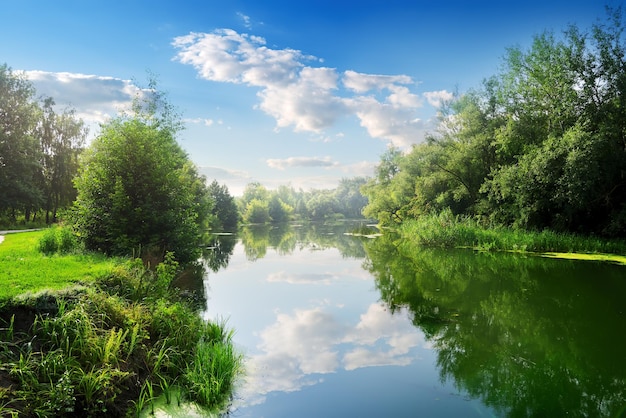 Beautiful river in the summer day