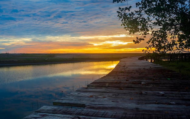 Beautiful river sunset view with pier and tree silhouette