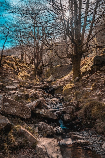 Guipuzcoa Basque Country의 Mount Adarra에 물이 거의 없는 아름다운 강