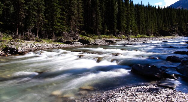 Beautiful river