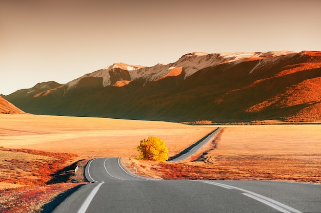 Красивая дорога в осенних горах на закате. Чуйский тракт в Республике Алтай, Сибирь, Россия. Осенний пейзаж
