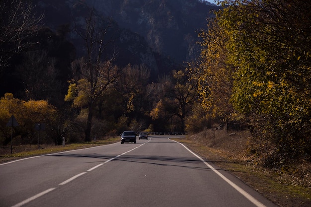 beautiful road in evening lightautumn