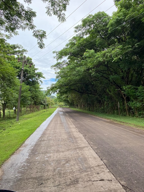 Beautiful road with nature scenary