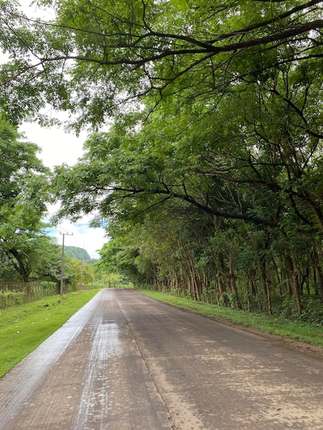 Beautiful road with nature scenary