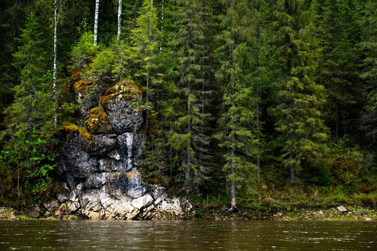 Beautiful rock on the wooded river bank
