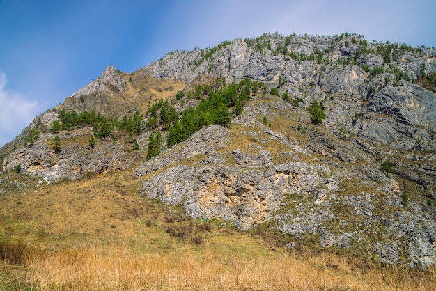 Beautiful rocky green mountain with greenery. Natural textured with rock and sky.