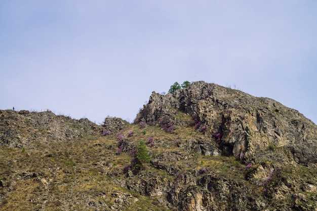 Beautiful rocky green mountain with greenery. Natural textured with rock and sky.