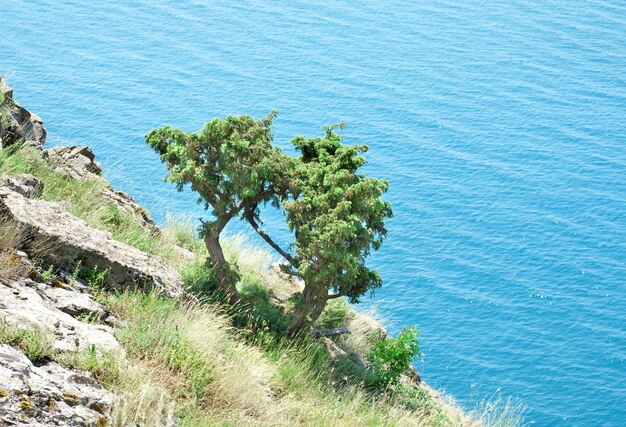 Beautiful rocky hill on the background of the Black Sea