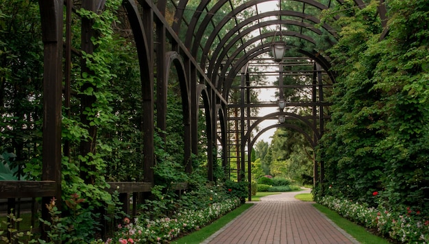 Bellissimo romantico tunnel ad arco nel parco cittadino