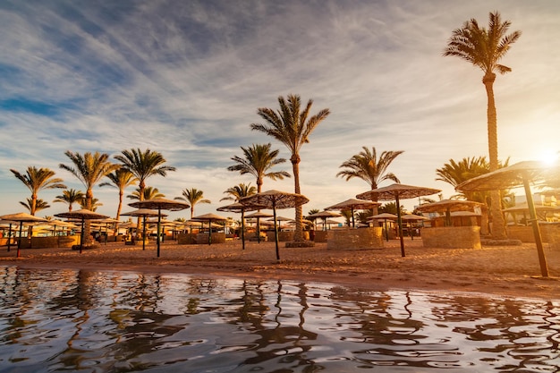 Beautiful romantic sunset over a sandy beach and palm trees Egypt Hurghada