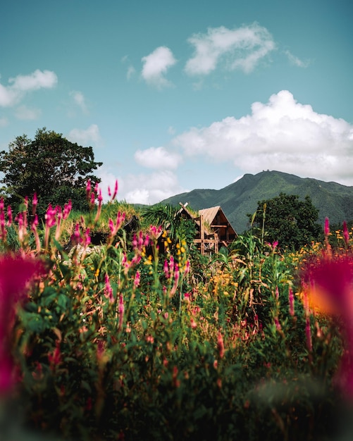 Красивый пейзаж дома на крыше на деревенской ферме, полной цветов с горами