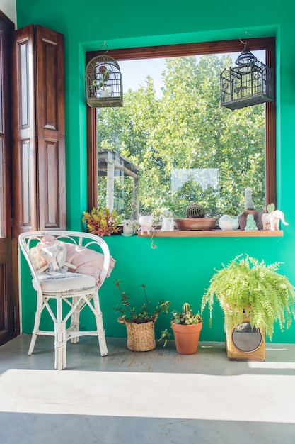 Beautiful room decoration with a corner with plants